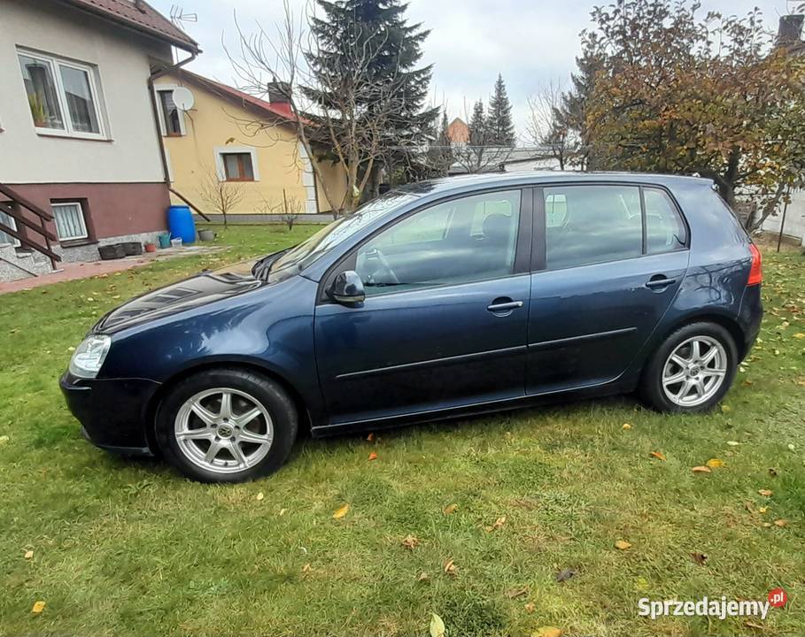 Volkswagen Golf V 14