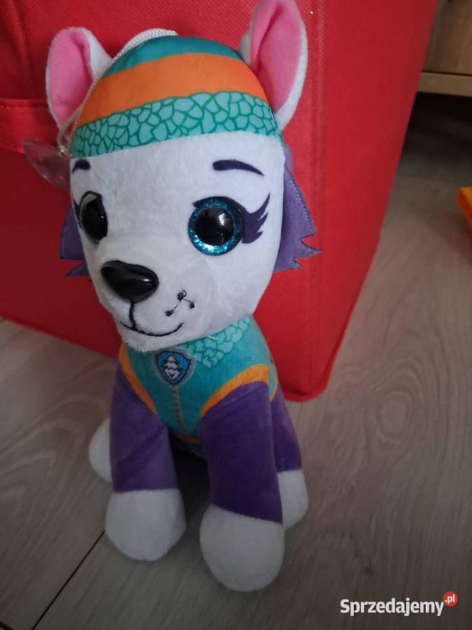 GANG słodziaków produkciaków biedronka 3 lata+ Biała Podlaska