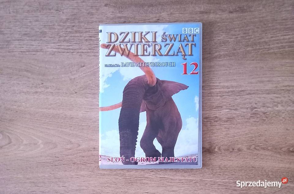 Edukacja Lew Orka i inne seria BBC Dziki świat Kraków