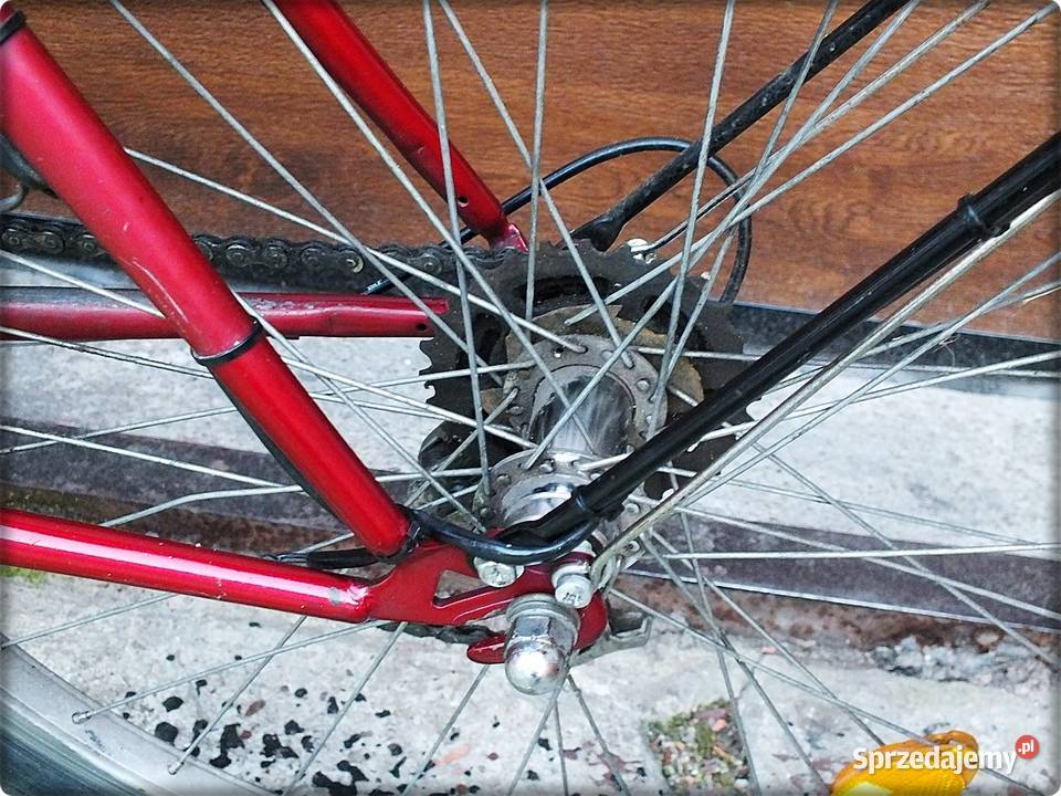 Rower górski damski Comfort OutDoor 26 Śliczna Żary