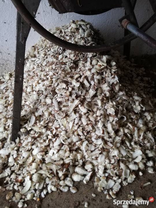 Brukwiarka Bartosz Jabłonowo Pomorskie