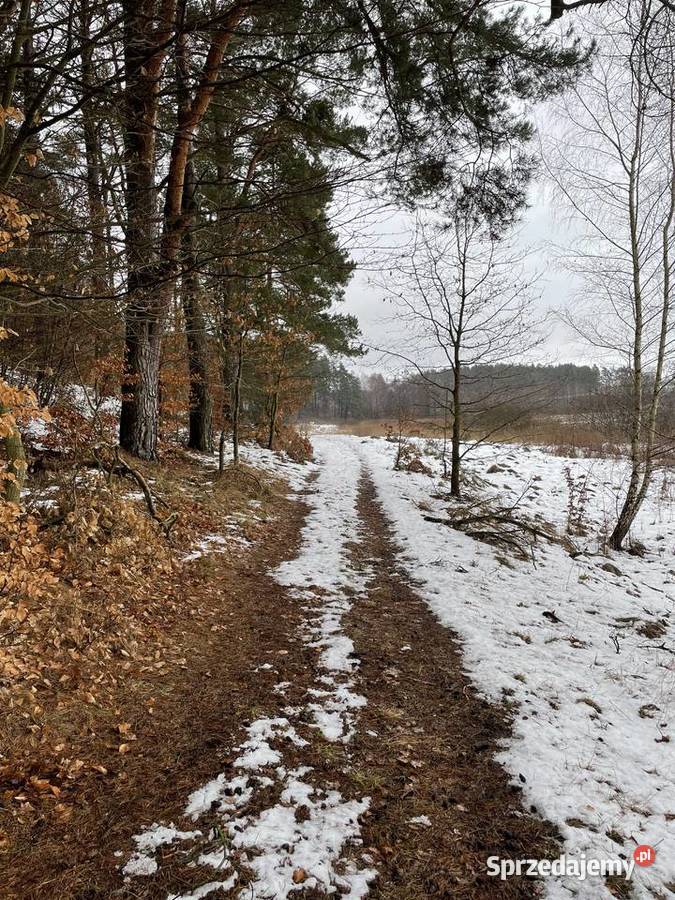 Działka rekreacyjna Bożepole Królewskie 4600 m2 Kamierowskie Piece sprzedam