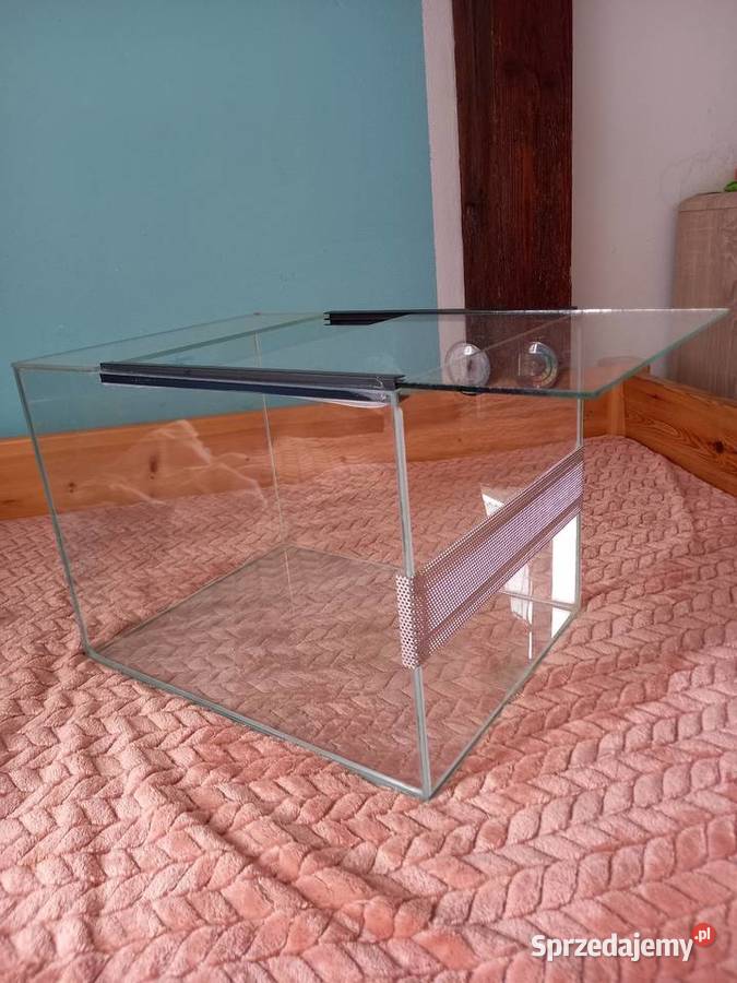 Terarium lubuskie Gorzów Wielkopolski