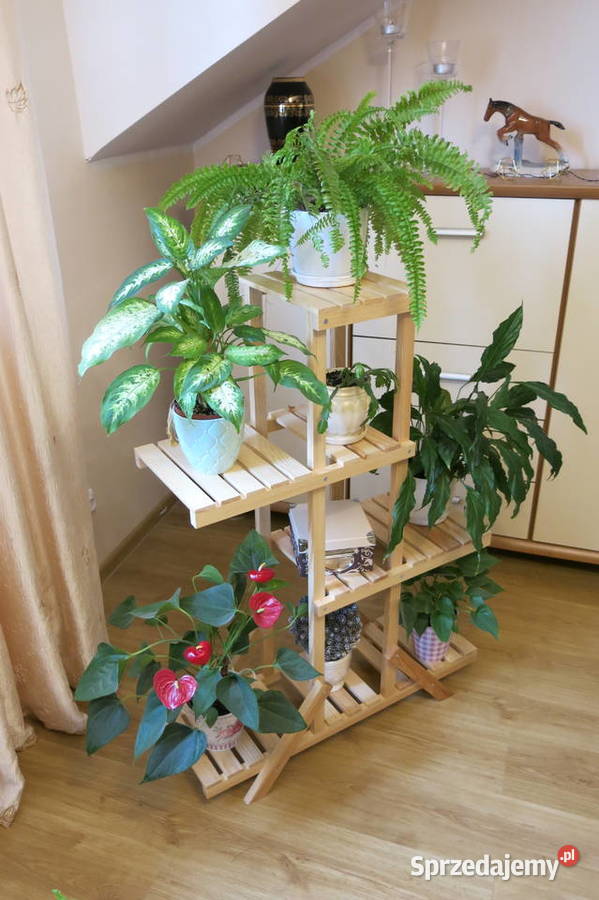 Kwietnik domowy naturalny Rytel sprzedam