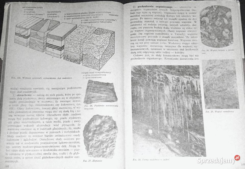 Geografia fizyczna z geologią Wojciech lubelskie Chełm