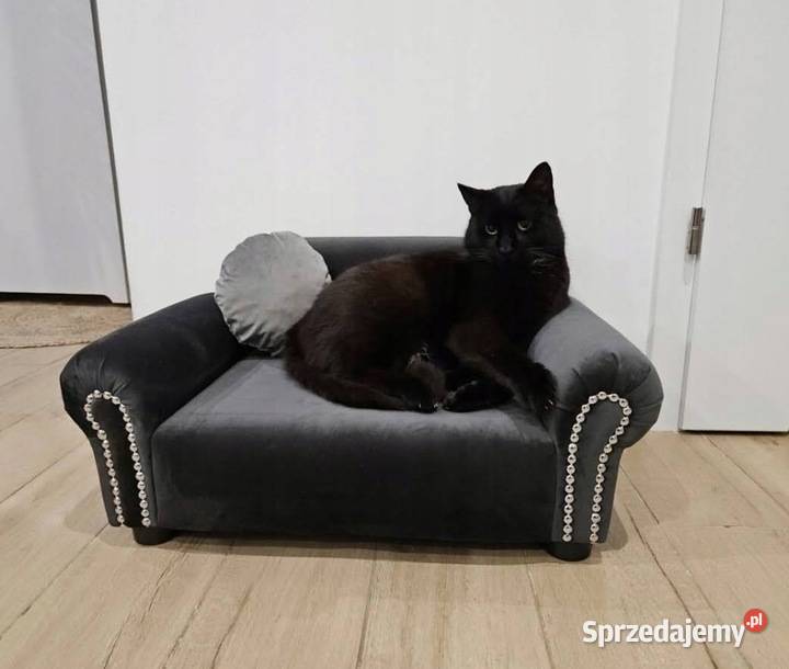 Legowisko sofa kanapa psa chihuahua pomeranian Dla psów Warszawa