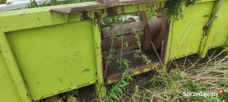 Przystawka heder Claas Jaguar 6 rzędowy Claas warmińsko-mazurskie Szczytno