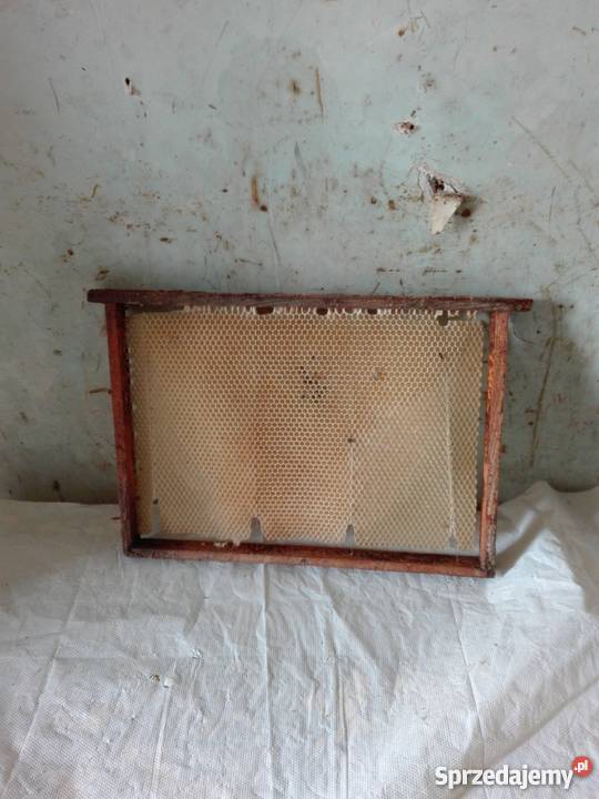 ule wyposażenie pasieki Sokolniki