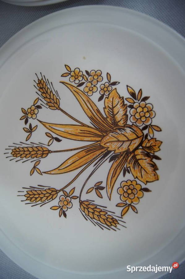Rustykalny talerz obiadowy płytki Chojnice