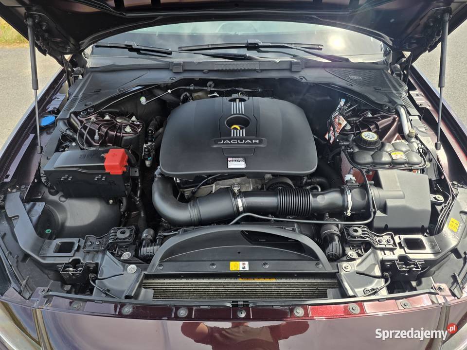 Jaguar XF 20 GTDi Prestige Salon 95 Zjawiskowy wielkopolskie