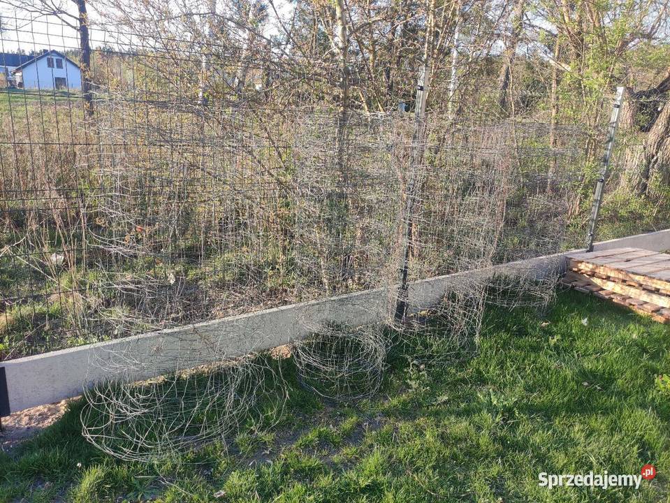 Siatka leśna używana Siatki i panele Olszewnica Stara