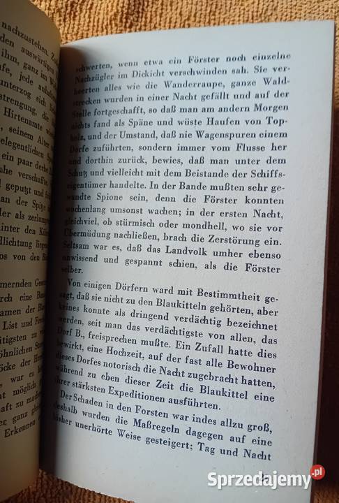Annette von DrosteHuelshoff Die Judenbuche Ph