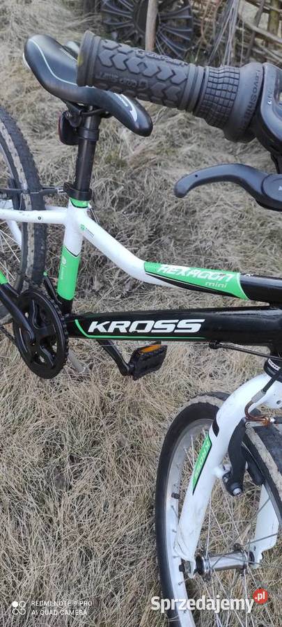 Rower dziecięcy 20 Dziecięce sprzedam