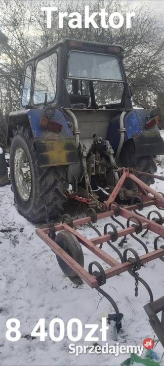 Likwidacja gospodarstwa Strzebieszew