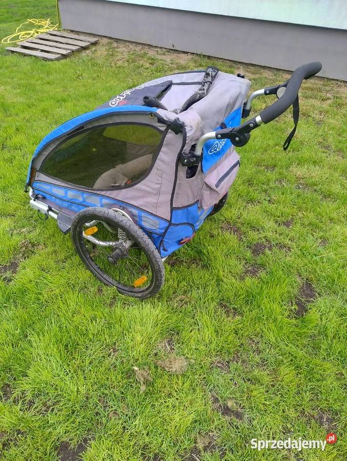 Przyczepka rowerowa Qeridoo Sportrex 1 Brzóza Królewska