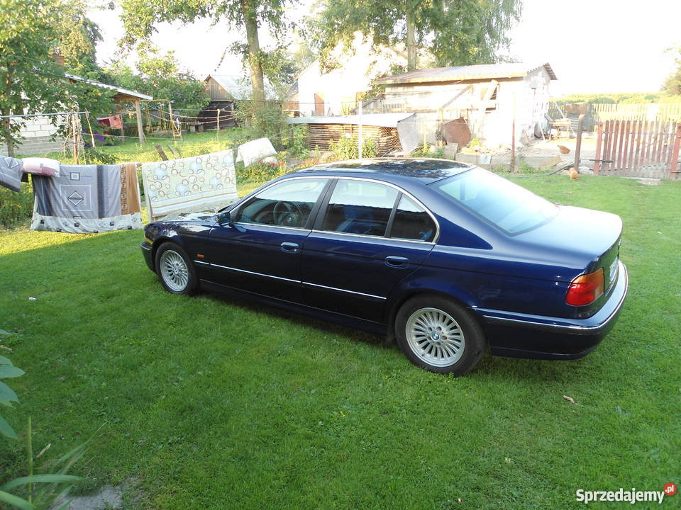 bmw e39 Niebieski środek Ful