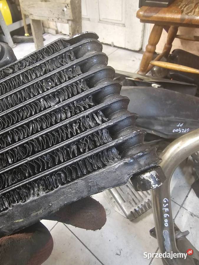 Suzuki gsf 600 chłodnica oleju chłodniczka Jelenia Góra