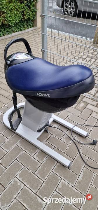 Panasonic Joba Hipoterapia Symulator jazdy Zielona Góra
