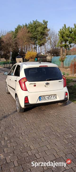 Kia Picanto z 2016 roku Nieciszów