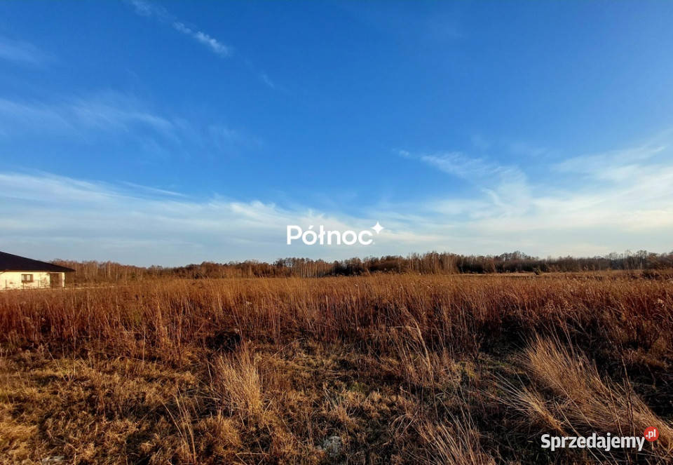 Urokliwa działka w ŁuckaKolonia na sprzedaż szambo Łucka-Kolonia sprzedam