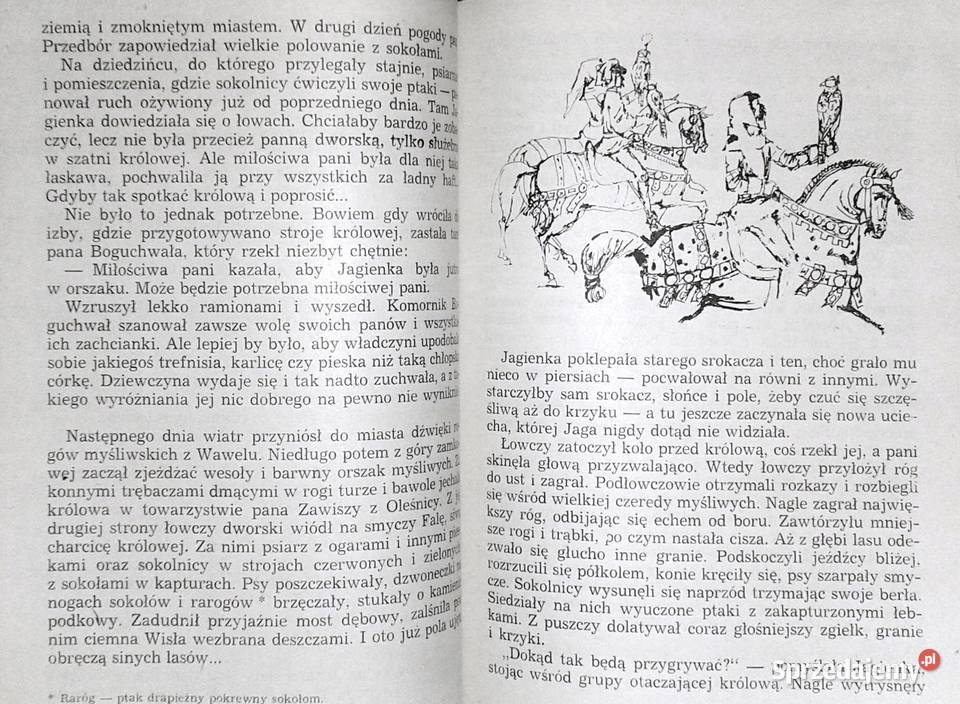 Jadwiga i Jagienka Czesława NiemyskaRączaszkowa Rok wydania 1986 Chełm