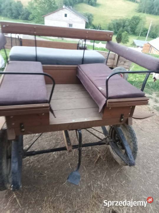 Sprzedam bryczkę do koni Konie Turza