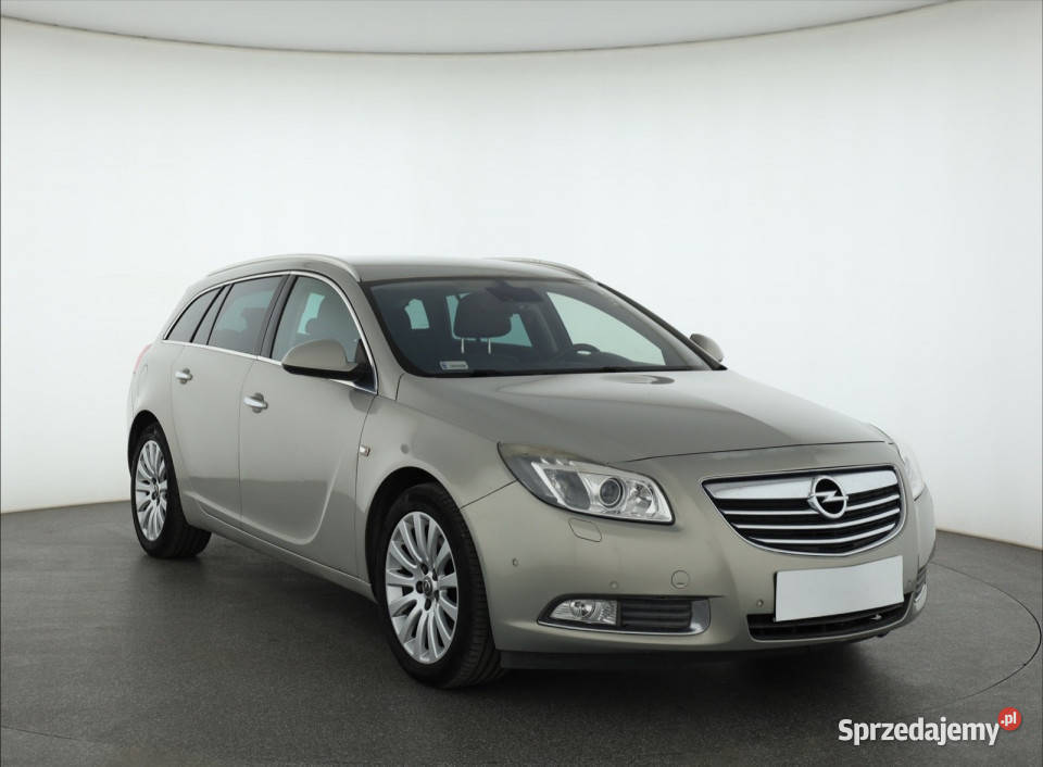 Opel Insignia 20 Turbo Piaseczno