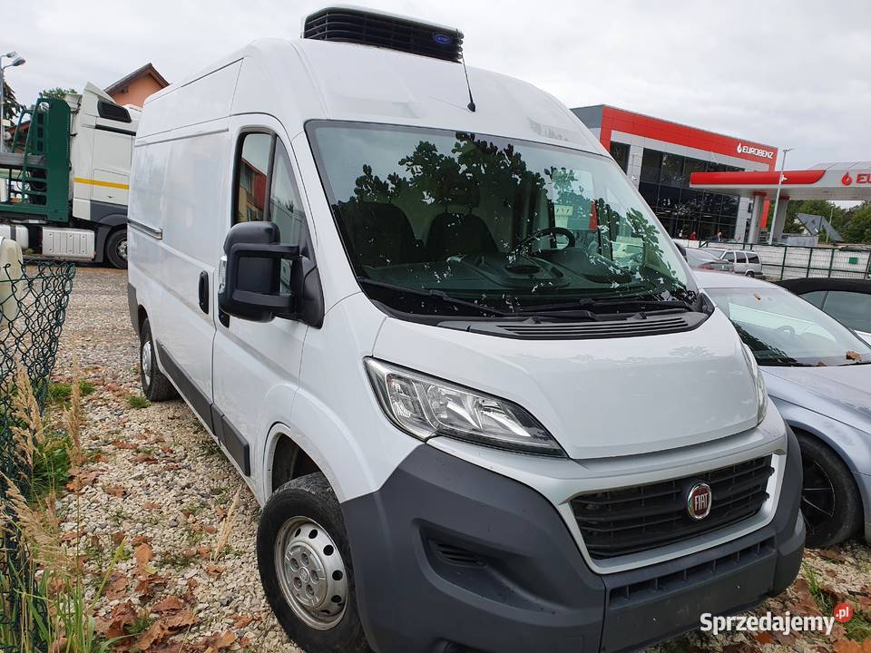 JUMPER DUCATO L2H2 CHLODNIA THERMOKING 230V podkarpackie Tarnobrzeg sprzedam