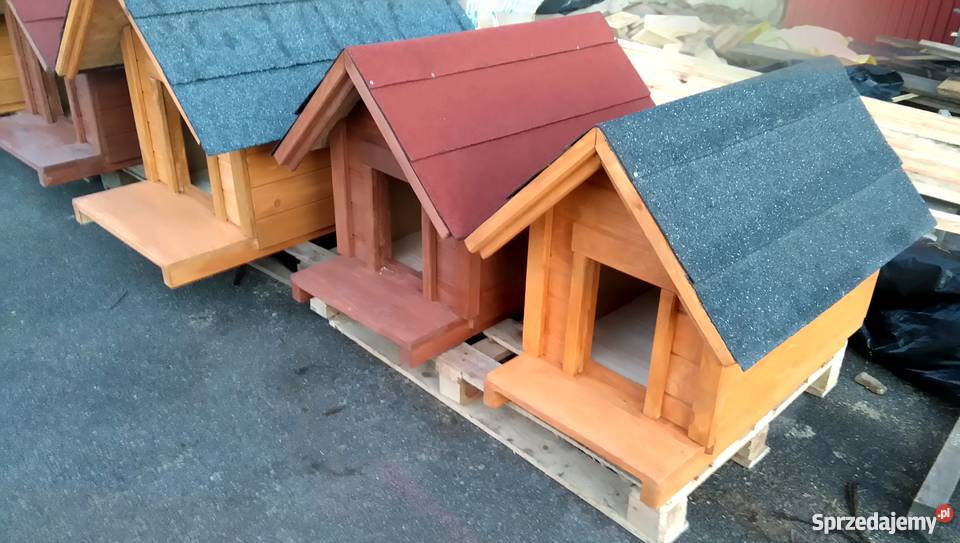 Buda psa Różne rozmiary i kolory Psy sprzedam