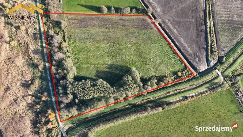 Działka Zalewem Wiślanym Kadyny 252ha utwardzona warmińsko-mazurskie