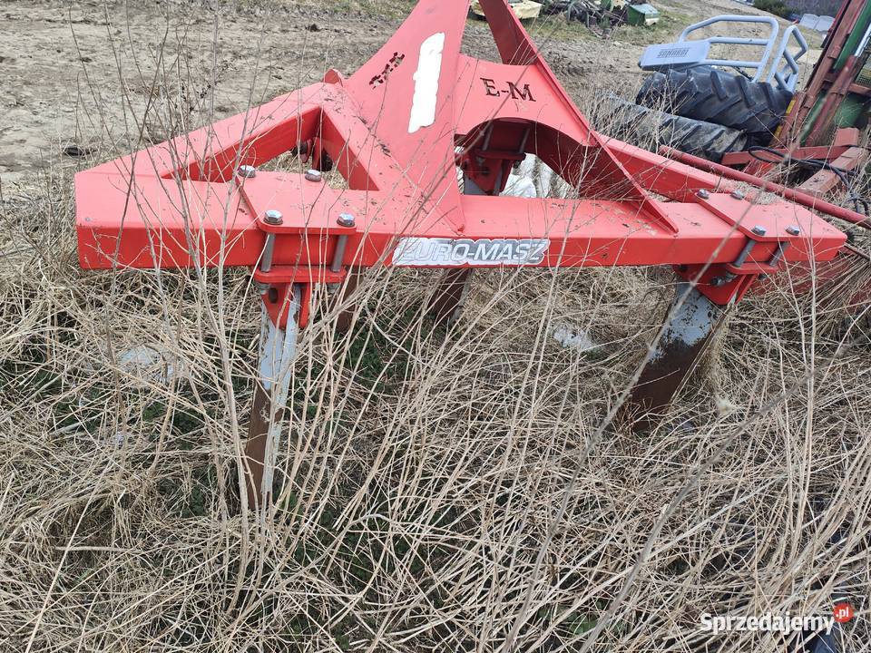 Głębosz euro masz Głębosze pomorskie Nowa Karczma