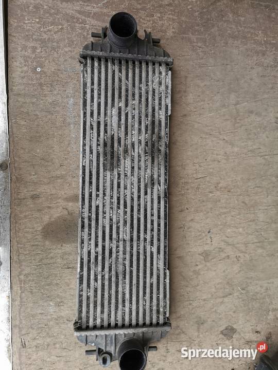 Chłodnica intercooler renault Trafić opel vivaro wielkopolskie Międzychód