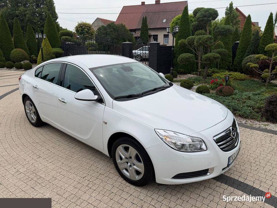 Opel Insignia 20 CDTI Active 160 2013r Możliwa manualna Opel Krotoszyn