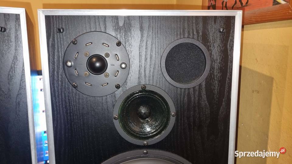 Wybitne kolumny monitory SCAN AKUSTIK Scan Line Warta