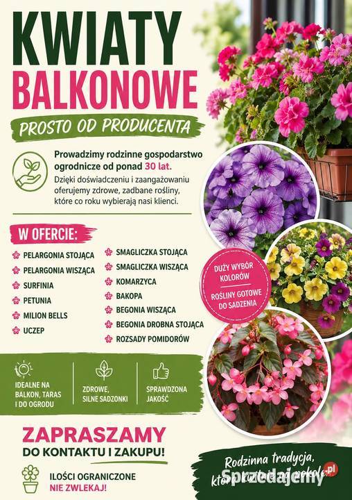 KWIATY BALKONOWE Prosto producenta