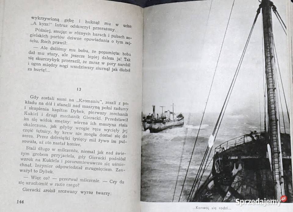 Dziękuję ci kapitanie Arkady Fiedler Rok wydania 1966 lubelskie Chełm