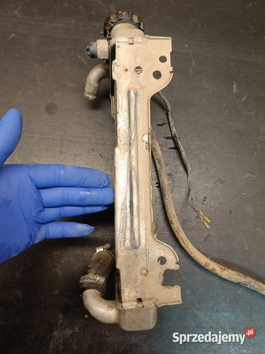 Chłodnica prawa wody cieszy korek części Suzuki Gołaczewy