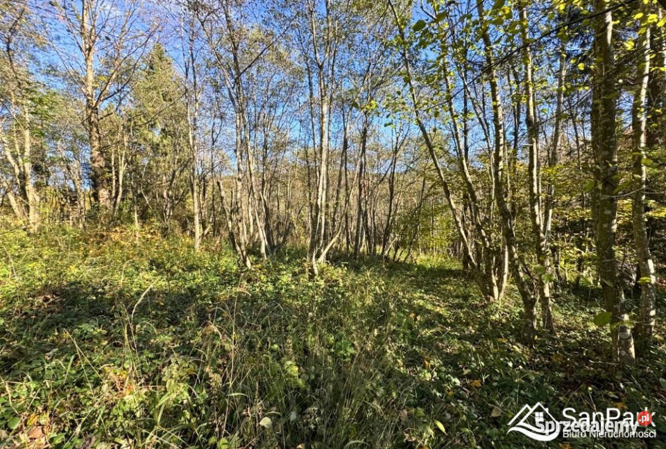 Grunt Krzywe 10100m2 rolna