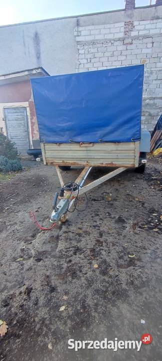 Przyczepa lekka Sam 650 500kg lubelskie Międzyrzec Podlaski sprzedam