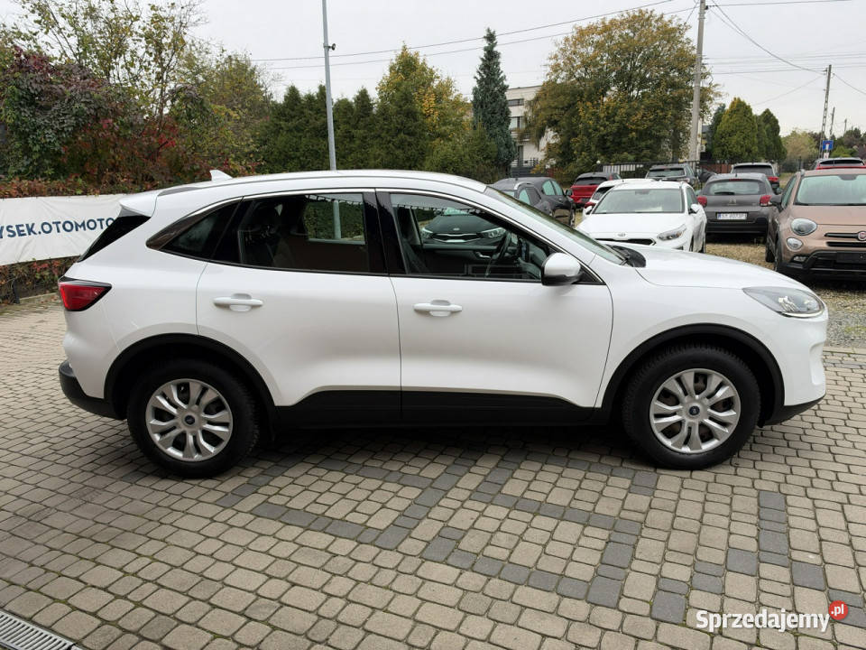 Ford Kuga 15 EcoBoost 120 III 2019