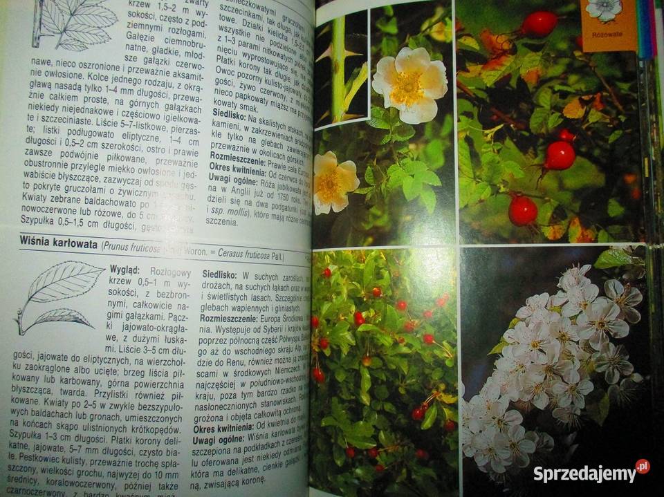 Ochrona roślin w PolsceLeonidas biologia, ekologia Książki naukowe i popularnonaukowe