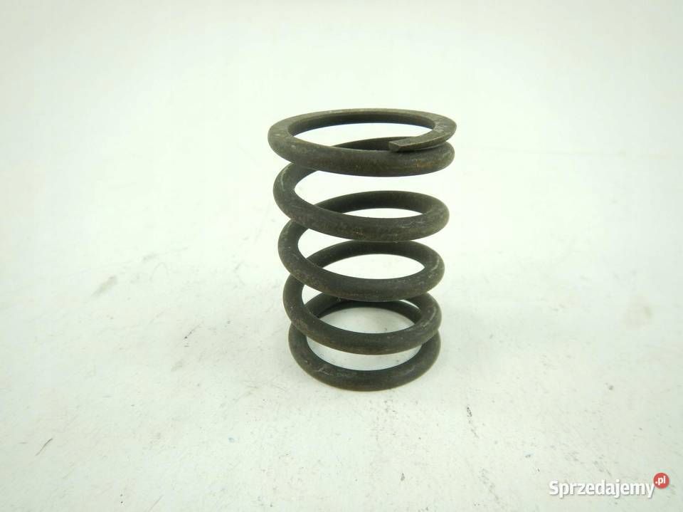 SPRĘŻYNA ZAWORÓW FIAT CROMA DUCATO LANCIA THEMA sprzedam