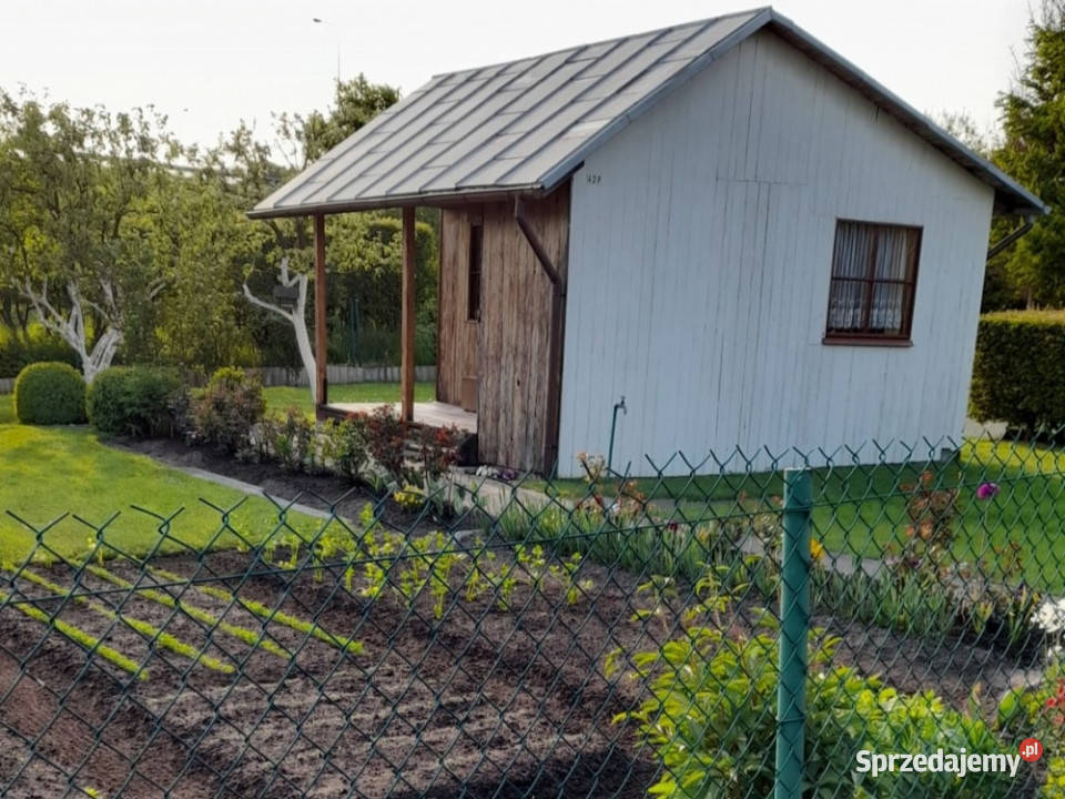 Zadbana działka rekreacyjna ROD Słoneczne siatka Sprzedaż Gdańsk sprzedam