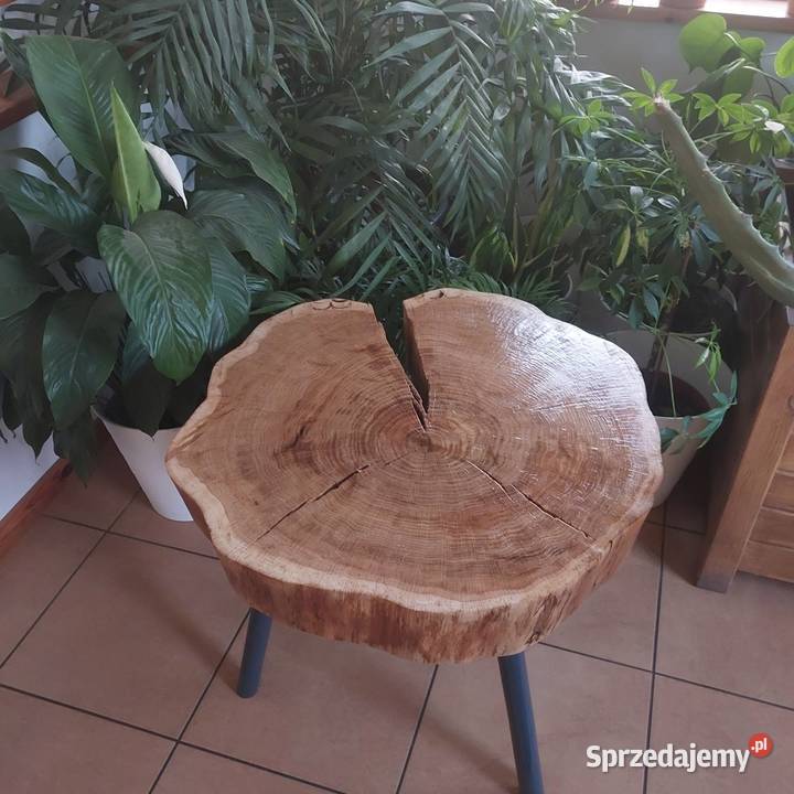 Stolik kawowy z plastra dębu Walewice
