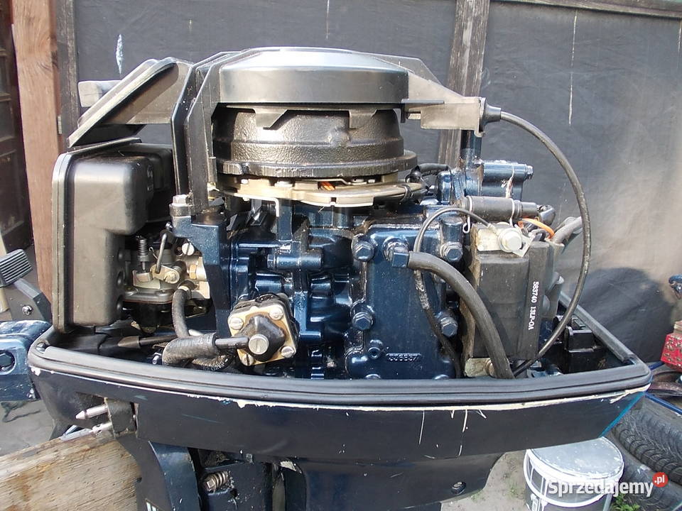 EVINRUDE 6 silnik zaburtowy L wielkopolskie