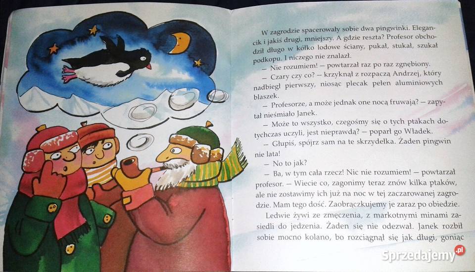 Zaczarowana zagroda Moje Poczytajki Alina i