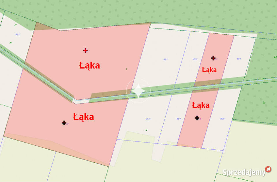 Łąka i las w Cieleśnicy Cieleśnica