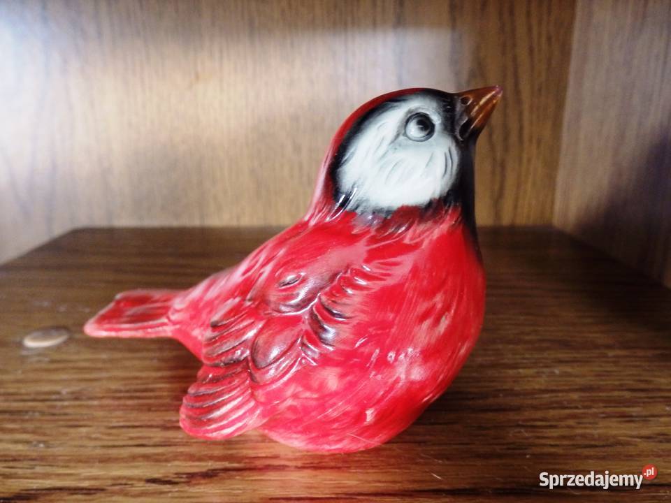 Ptaszek Goebel Rabka-Zdrój