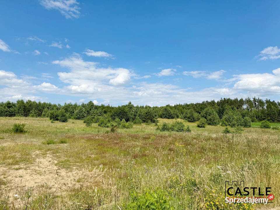 Gowidlino I pod budowę I spokojna okolica I w Sprzedaż