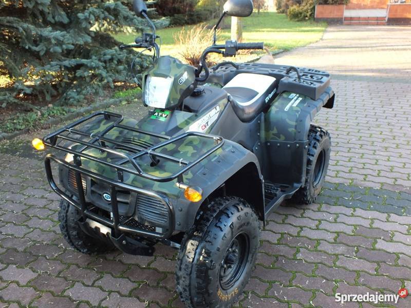 Quad ATV Bashan BS250s24 kujawsko-pomorskie Skępe